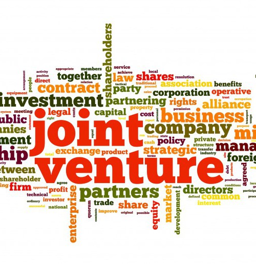 Joint Ventures & Partnerships